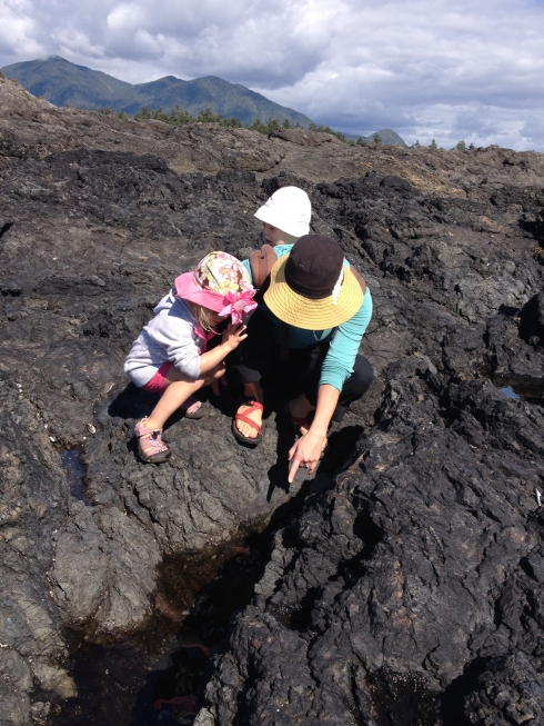 Tide Pools