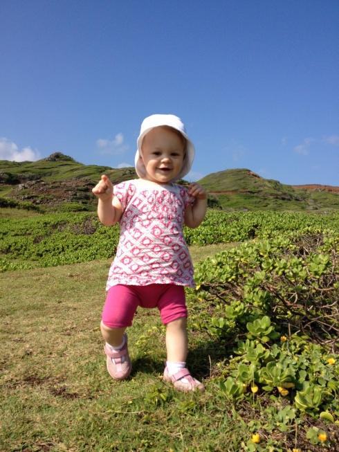 Baby Hiker