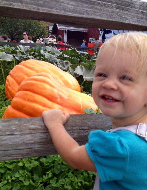 Big pumpkin