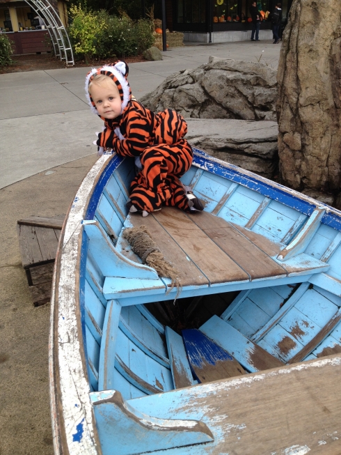 Stowaway tiger