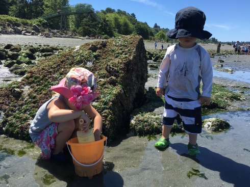 Low tide explorers