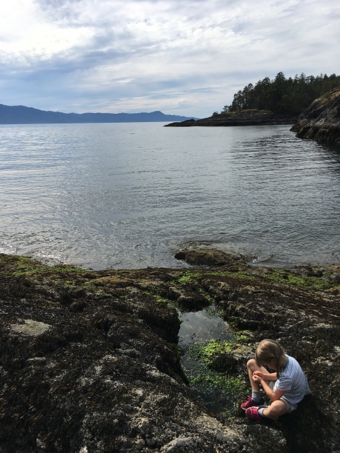 Tide Pool