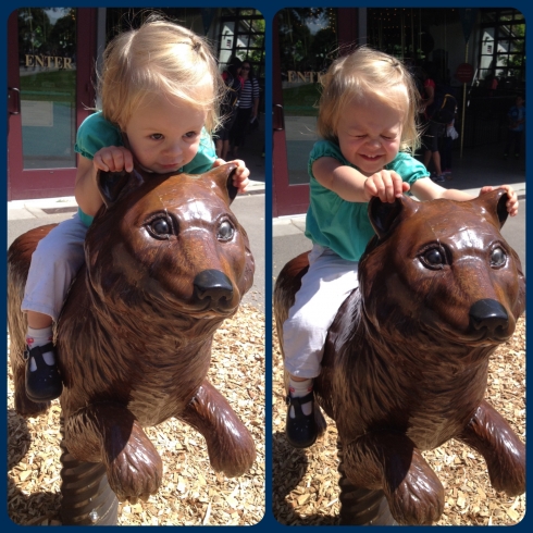 Thrilling Bear Ride