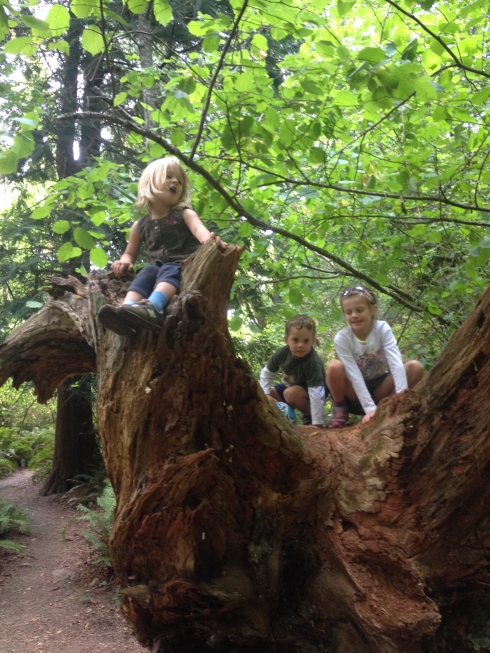 Cousins in a tree