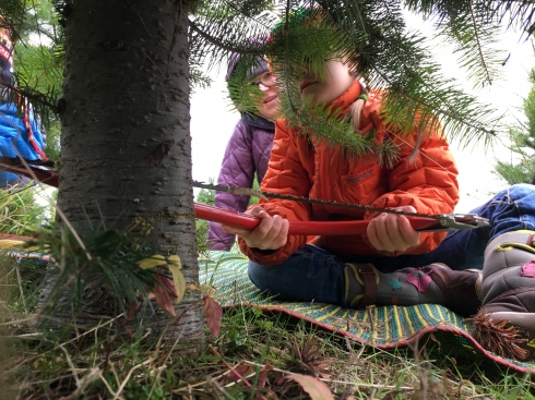 Xmas Tree Harvest