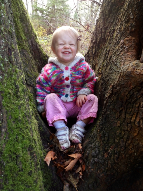 On the tree top