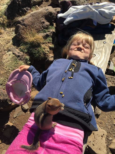 Fat Chipmunks at Wallawa Lake