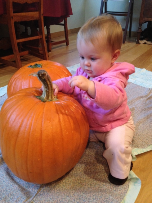 Pumpkin Inspection