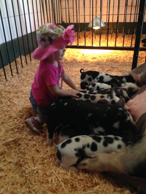 Polka dotted piglets