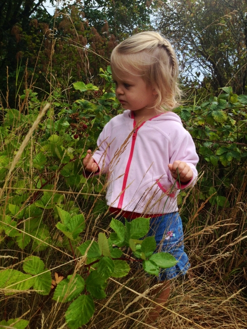 Babe in the Blackberries