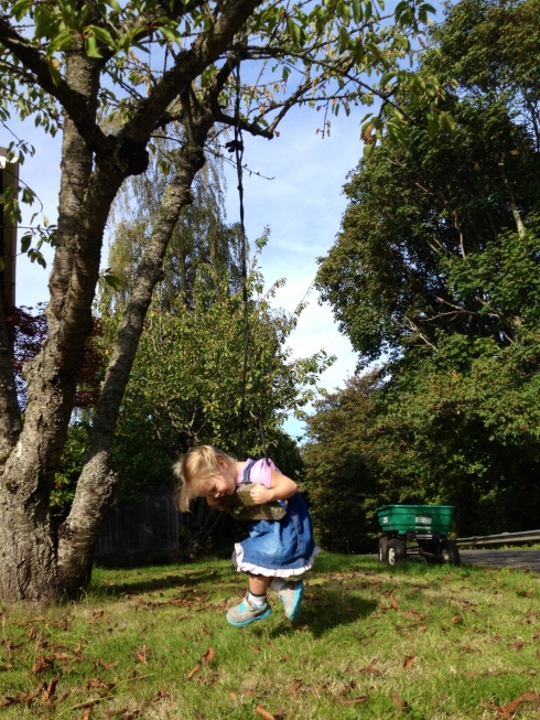 Neighborhood Tree Swing