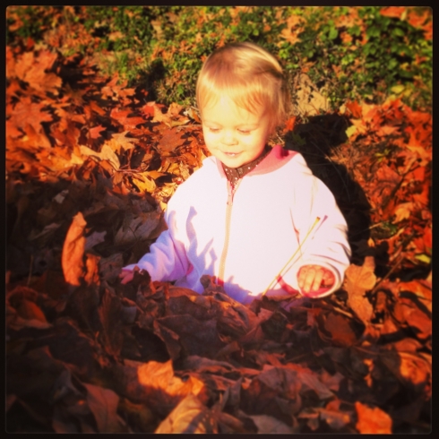 Swimming through a leaf pile