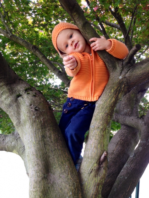 Tree climber