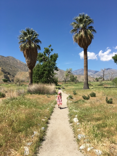 Whitewater Canyon Palm Desert