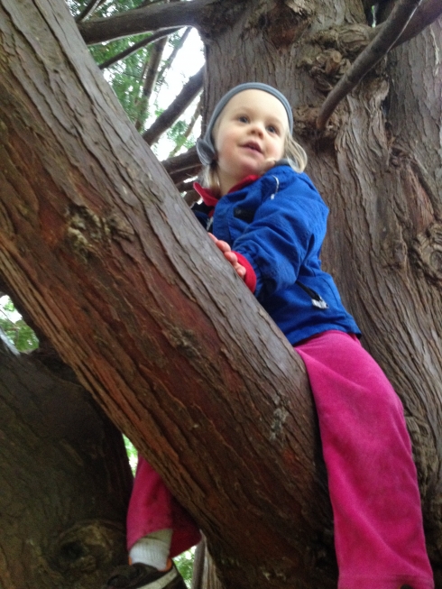 Climbing tree