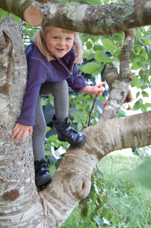 Climing at Bloedel