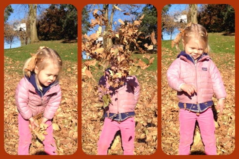Leaf Pile!