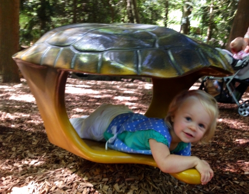 Turtle or Toddler