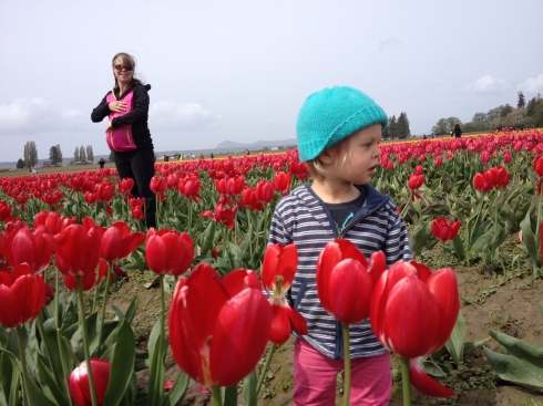 Red Blooms