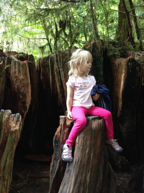 On the Road to Tofino