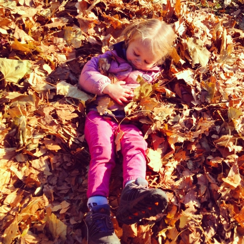 Fall Follies