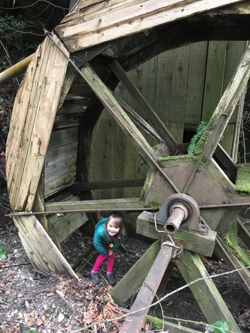 Secret Waterwheel in Carkeek Park