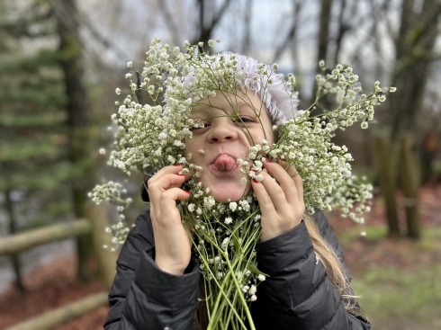 Pretty Flowers