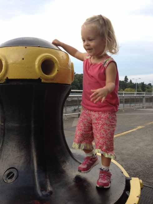 Ballard Locks