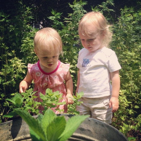 Frog pond