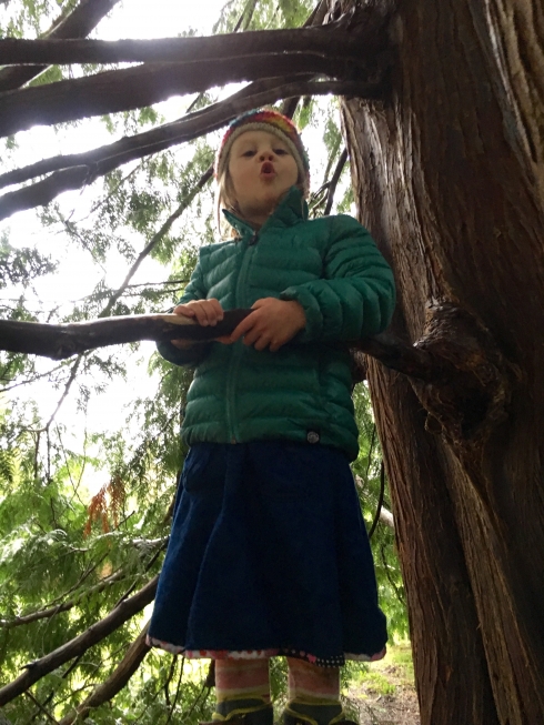 Monkey Queen in the Soup Tree