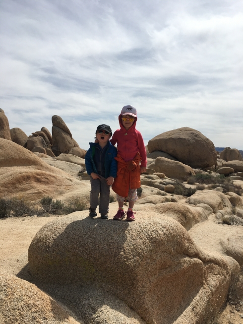 Joshua Tree