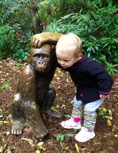 Hugs for baby gorilla