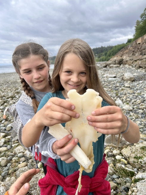 Ruby Beach